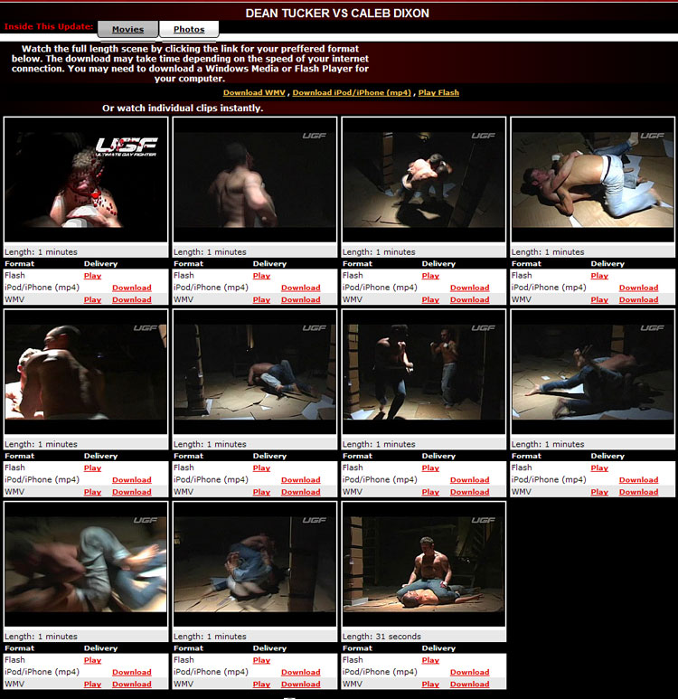 Ultimate Gay Fighter screenshot 1