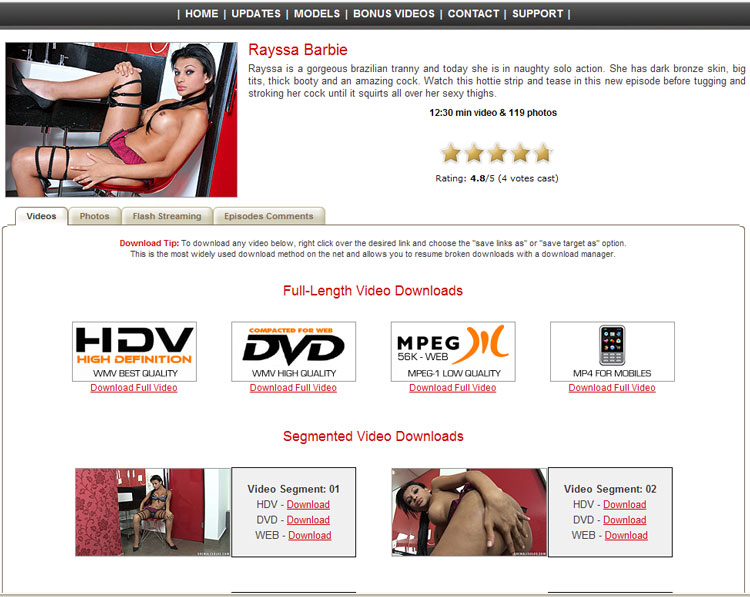 Tranny Access screenshot 1