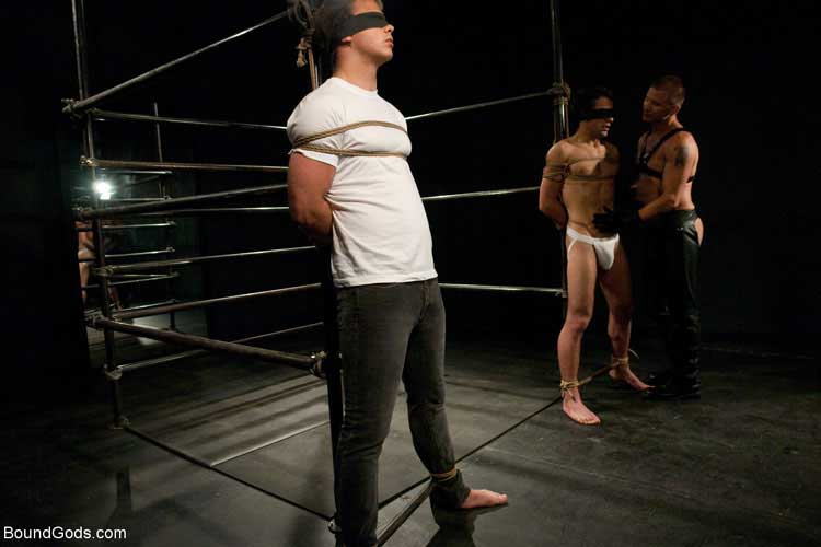 Bound Gods 截图 1