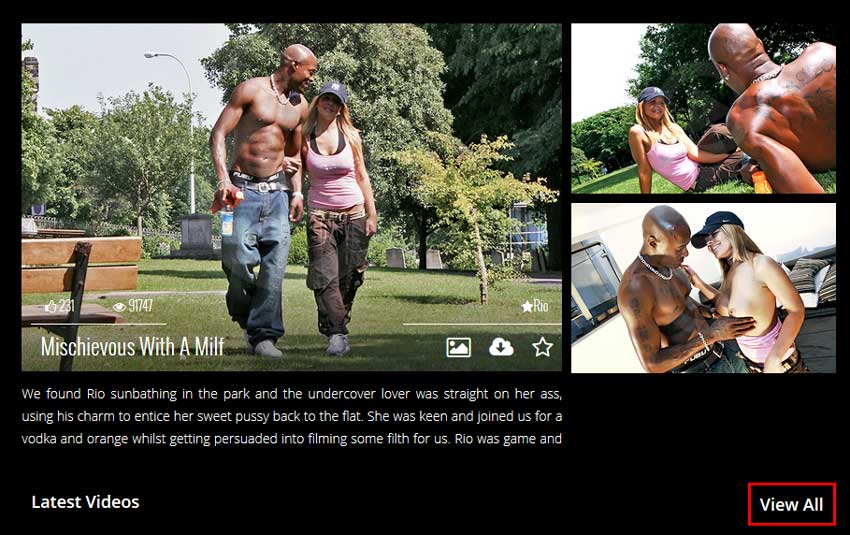 The Undercover Lover screenshot 1