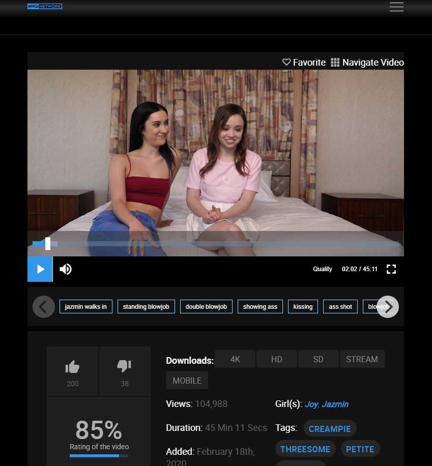 Capture d'écran 2 de Net Video Girls