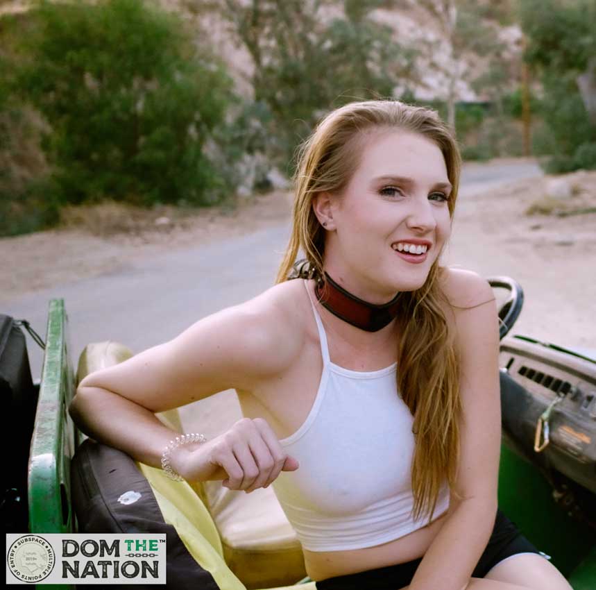 Dom The Nation screenshot 1