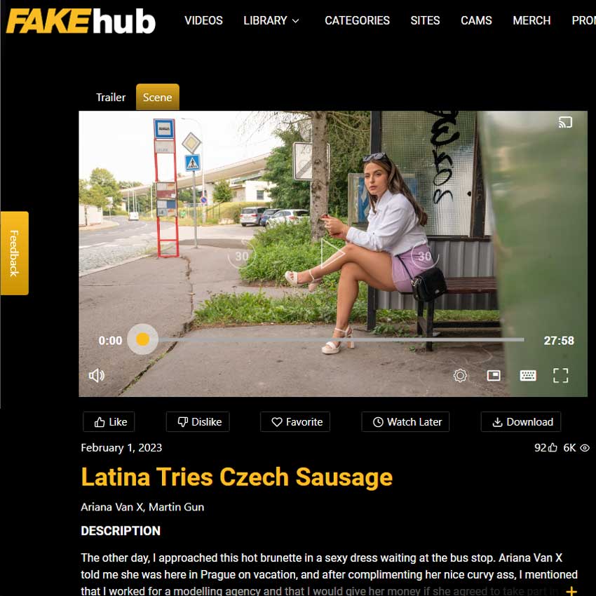 Public Agent screenshot 1