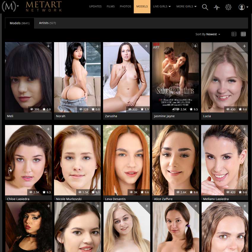 Metart Network Screenshot 1