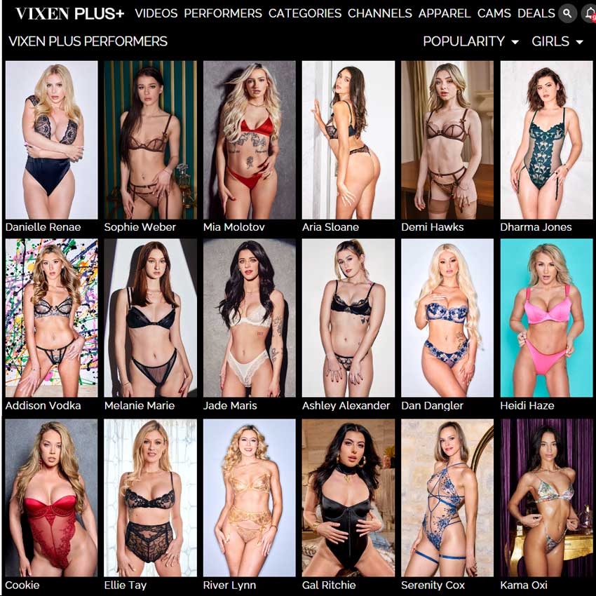 Vixen Plus screenshot 1