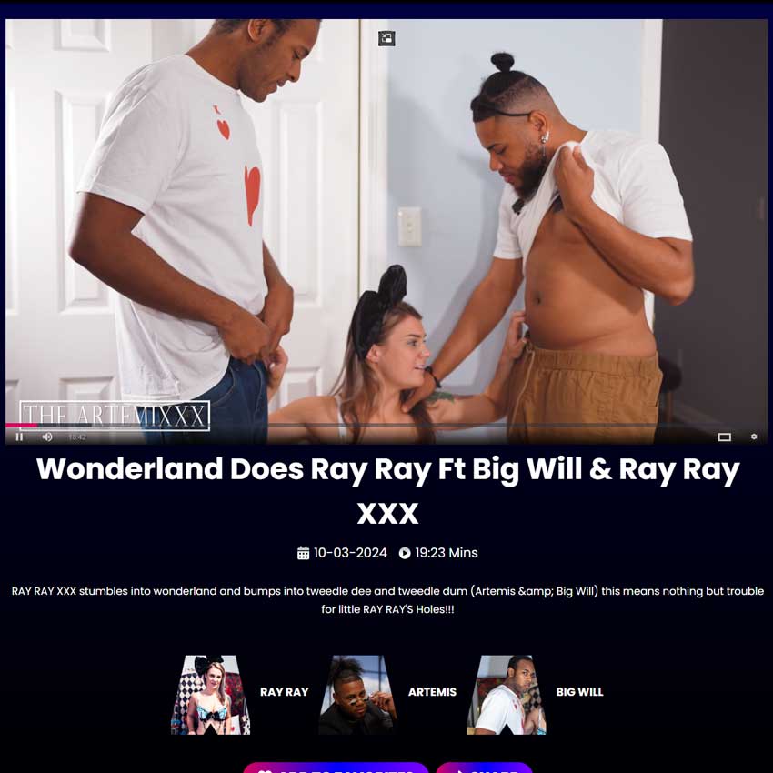 The Artemixxx Screenshot 1